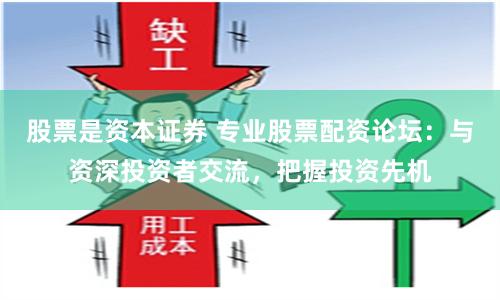 股票是资本证券 专业股票配资论坛：与资深投资者交流，把握投资先机