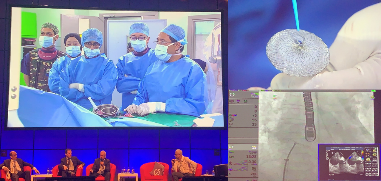 11.png 11.png