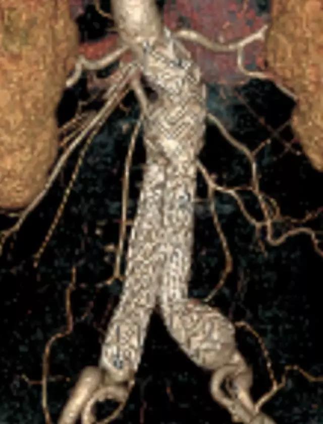 6.jpg 6.jpg