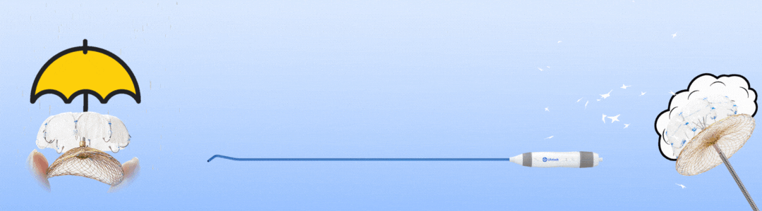 1.gif 1.gif